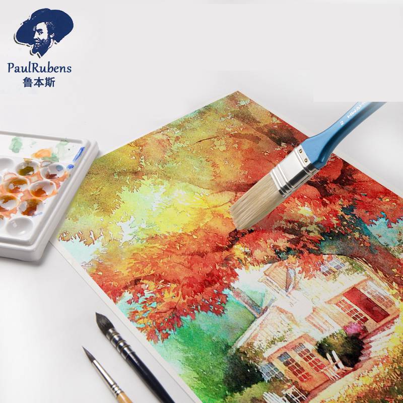 Paul Rubens Professioneel aqua - Ink Blotter Paper recensie en prijs