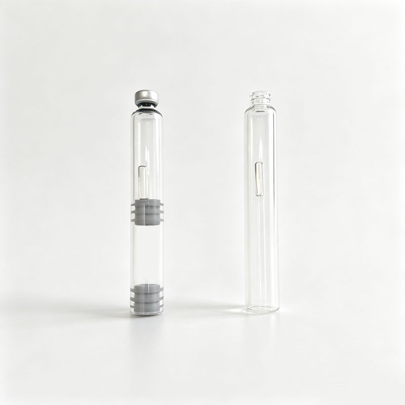 10/20 stuks Dubbelkamer Inktca - Fountain Pen Bottled Ink recensie en prijs