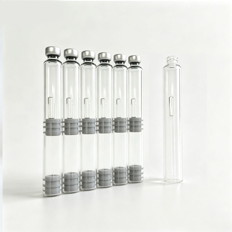 10/20 stuks Dubbelkamer Inktca - Fountain Pen Bottled Ink recensie en prijs